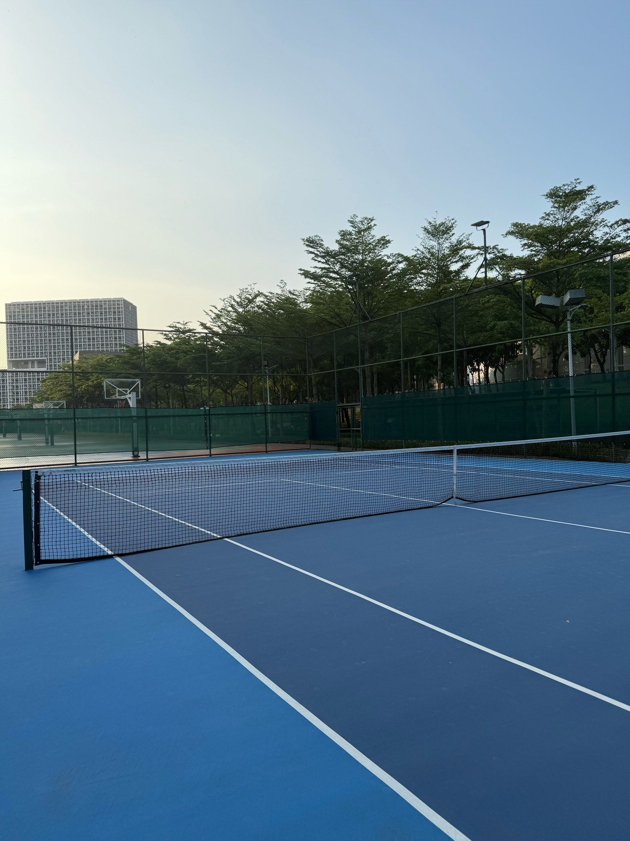 在篮球的陪 在篮球的陪