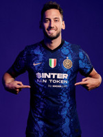 野生动植物 野生动植物