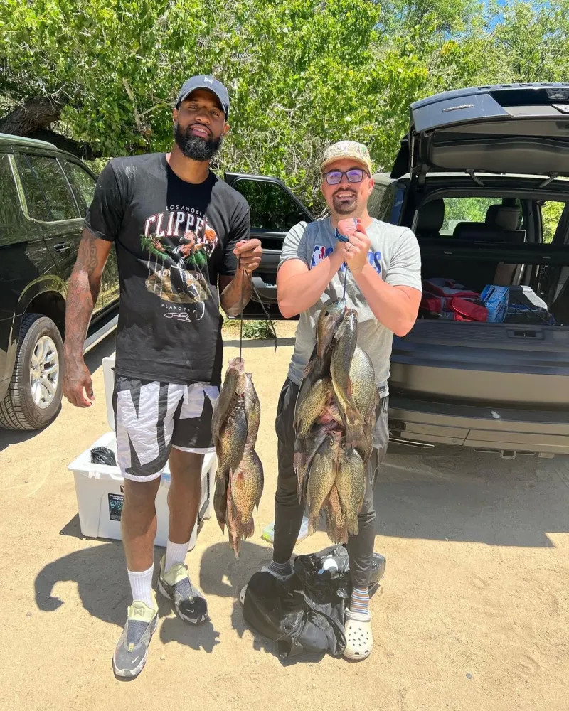 理上是实打 理上是实打