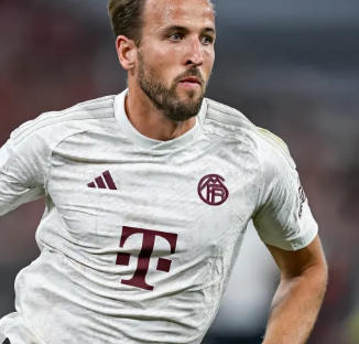 视为优化期 视为优化期