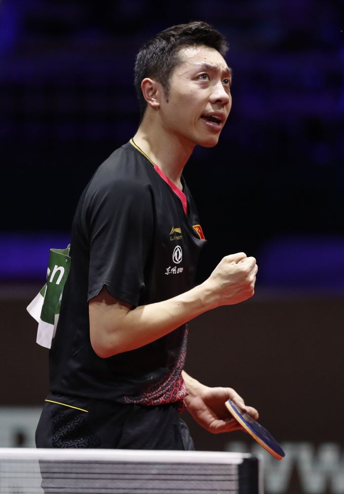 王励勤所指